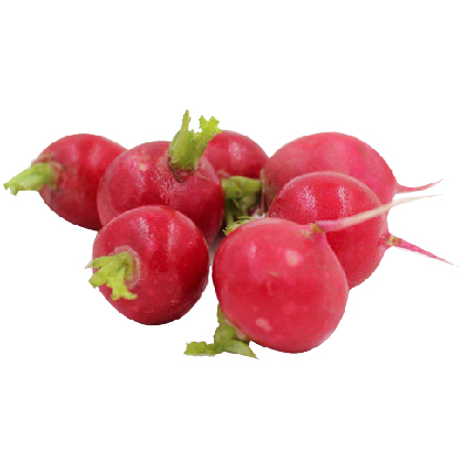 Cherry radish