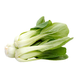 Shanghai cabbage